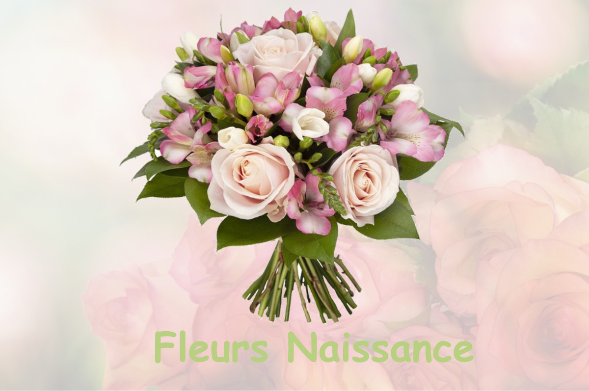 fleurs naissance VARENNES-LES-NARCY